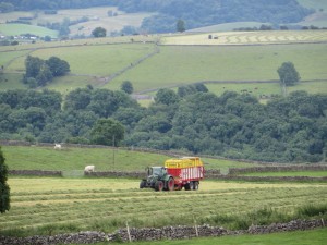 IMG_0549_1