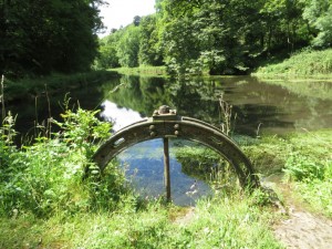 IMG_0570_1