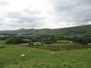 IMG_0675_1