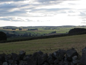 IMG_0754_1