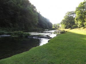 IMG_0974_1