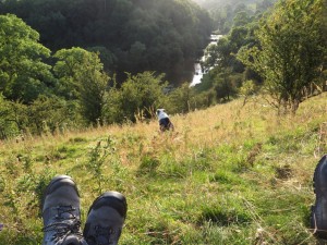 IMG_0997_1