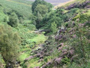 IMG_1092_1