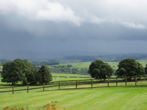 IMG_1139_1
