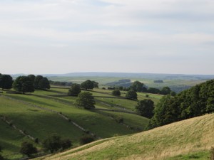IMG_1145_1