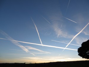 img_1269_1