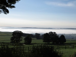 img_1983_1
