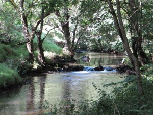 img_2064_1