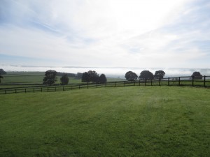 img_2274_1