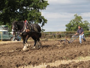 img_2307_1