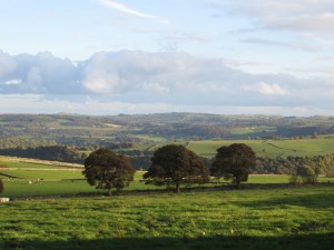 img_2428_1