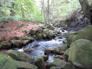 img_2501_1